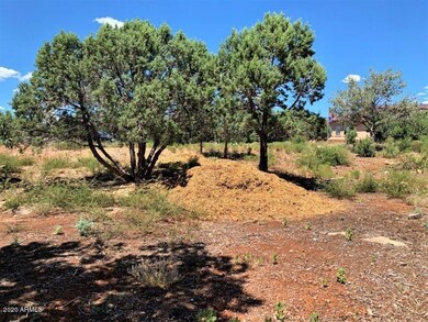 1102 N Earhart Pkwy unit 47, Payson, AZ 85541 - photo 5