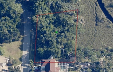 4655 S Gator Loop, Homosassa, FL 34448 - photo 2