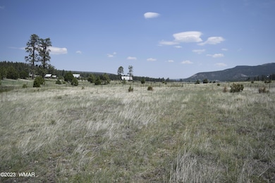 0 Cr 2275 1 22 Acre unit 248078, Nutrioso, AZ 85932 - photo 4