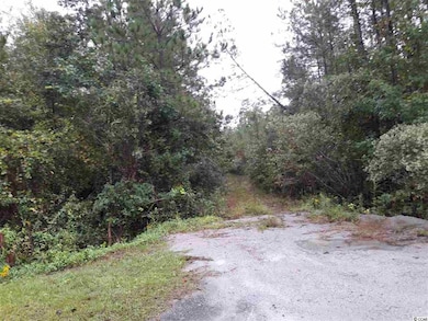 Tract 1 Highway 9, Little River, SC 29566 - photo 5