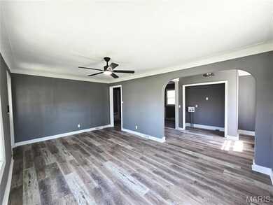315 S Park Ln, Dexter, MO 63841 - photo 4