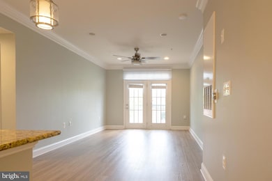 The Prescott unit 305, Alexandria, VA 22314 - photo 6