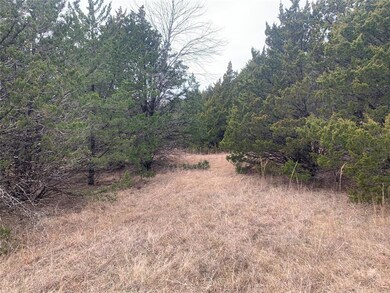 TBD Isbon- Tract 2, Whitesboro, TX 76273 - photo 6