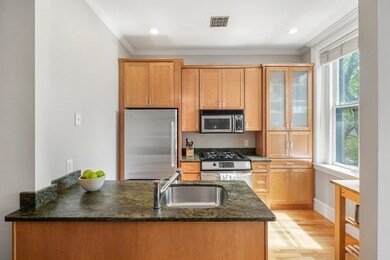 9 Upton St unit 2, Boston, MA 02118 - photo 4