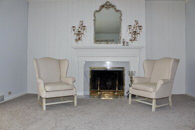 Fireplace with Marble