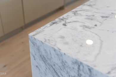 115 Morris St unit 2502, Durham, NC 27701 - photo 5