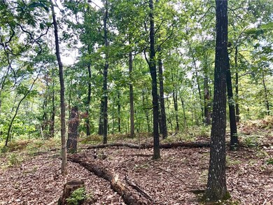 00 Cardinal Rd, Bella Vista, AR 72715 - photo 7