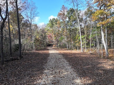 0 Tower Rd unit Lot WP001 22284674, Big River Township, MO 63628 - photo 4