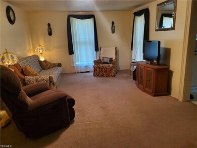 238 Chestnut St, Conneaut, OH 44030 - photo 5