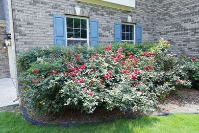 77 Dusty Arbor Ln, Pittsboro, NC 27312 - photo 5