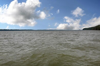 View of the river