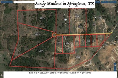 Lot 3 Pr 3814, Springtown, TX 76082 - photo 2