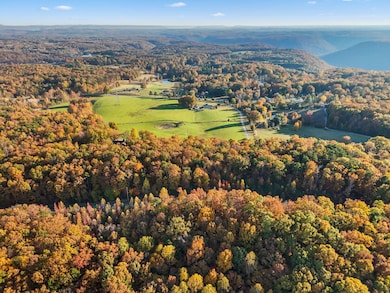 dji_20251106053512_0493_d