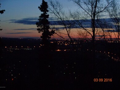 Views of the City Lights