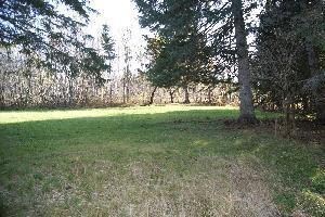 Yard in back of cottage