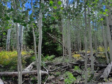 266 Snow Shoe Dr unit Lot6,BLK C,SkiHavenC, Brian Head, UT 84719 - photo 7