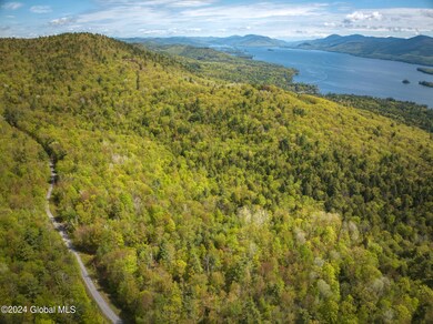 L63.011 Shaw Rd unit A2, Lake George, NY 12845 - photo 3