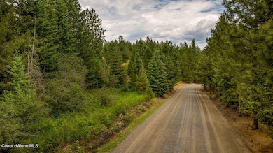 DJI_20250622121804_0615_D-HDR