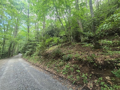 Lt 7 Buck Knob, Cullowhee, NC 28723 - photo 6