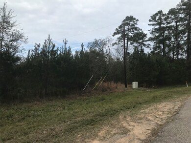 28410 Champion Oaks Dr, Magnolia, TX 77354 - photo 6