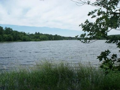 9015 Deer Tr, Tomahawk, WI 54487 - photo 3