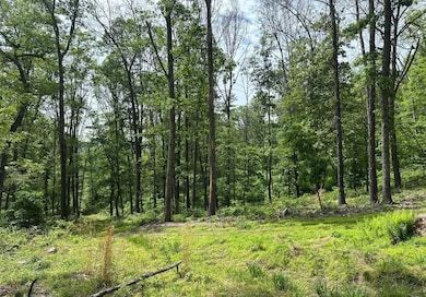 0 Woodmont Rd unit 23667528, Great Cacapon, WV 25422 - photo 4