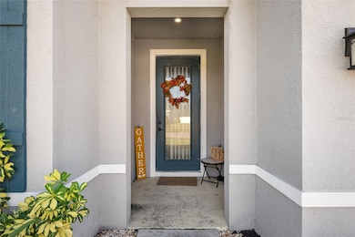 11441 64th St E, Parrish, FL 34219 - photo 5