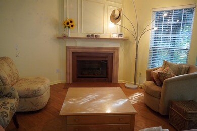 204 Yellow Jasmine Path, Apex, NC 27502 - photo 4