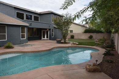 Backyard 2