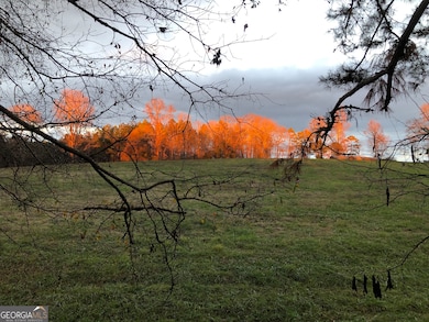 0 E Deer Run Trail unit 10651119, Lavonia, GA 30553 - photo 4