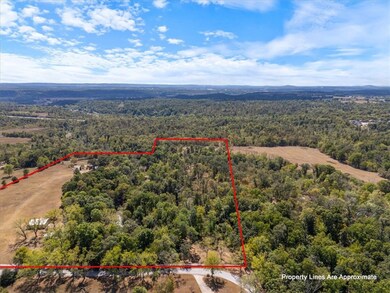 19659 Shinn Springs Rd, Siloam Springs, AR 72761 - photo 3