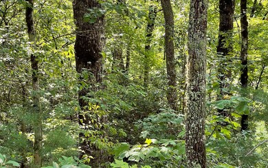 LOT 9 Wolfpen Gap Sub, Hiawassee, GA 30546 - photo 4