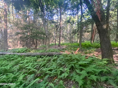 0 State Route 307 & Donny Dr unit PWBPW241930, Moscow, PA 18444 - photo 4