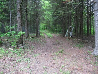view back to the entrance
