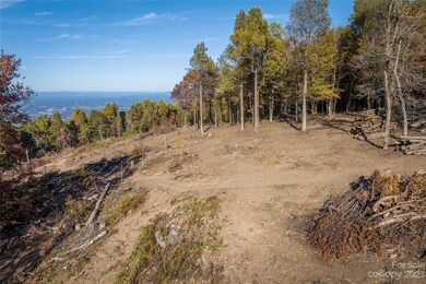 6499 Walkertop Mountain Overlook Dr unit 22, Morganton, NC 28655 - photo 5