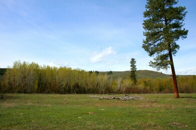 0 Twisp-Winthrop Eastside Rd unit 769143, Twisp, WA 98856 - photo 3