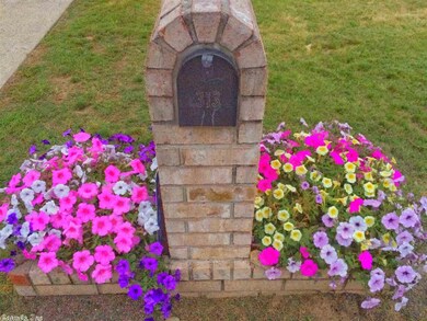 0 Cain Rd unit 16016096, Hot Springs, AR 71901 - photo 3