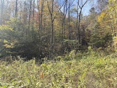 150 Little Branch Rd, Flag Pond, TN 37657 - photo 6