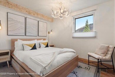 434 E Main St unit 102, Aspen, CO 81611 - photo 6