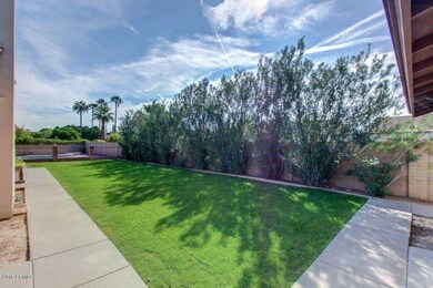 quarter acre lot
