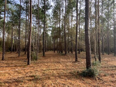 8437 Hwy 94, Lufkin, OK 74904 - photo 3