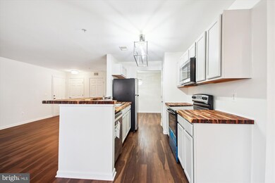 2155 Scotts Crossing Ct unit 101, Annapolis, MD 21401 - photo 6