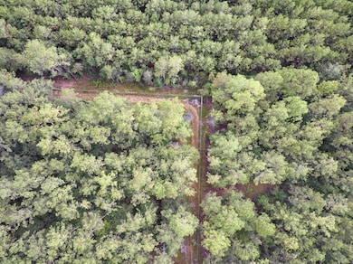 0 Jones Rd, Kountze, TX 77625 - photo 5