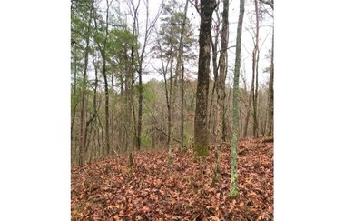 L1719 Rebekah Ridge Rd, Talking Rock, GA 30175 - photo 3