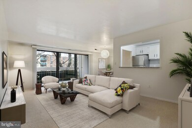 6137 Leesburg Pike unit 409, Falls Church, VA 22041 - photo 3