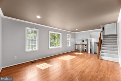 13300 Burkhart St, Silver Spring, MD 20904 - photo 6