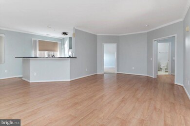 2607 Chapel Lake Dr unit 305, Gambrills, MD 21054 - photo 4