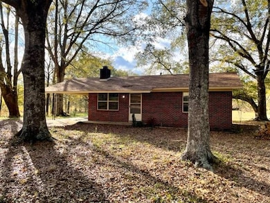 11461 Attala Road 4101, Sallis, MS 39160 - photo 4