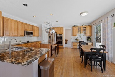 10535 Jaguar Point, Lone Tree, CO 80124 - photo 7