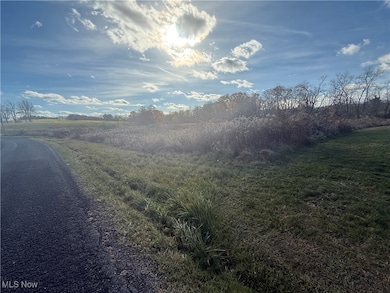 5089 Bayard Rd, Homeworth, OH 44634 - photo 3